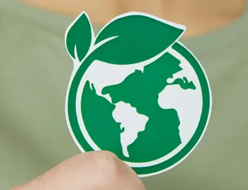 Euroshore Completes UNGCMYB’s PROGRESS Climate Assessment